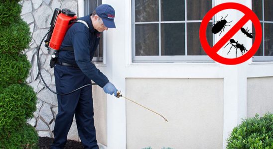 Bucak Böcek İlaçlama böcek ilaçlama ve haşere kontrolü — ilaclama-tr.com